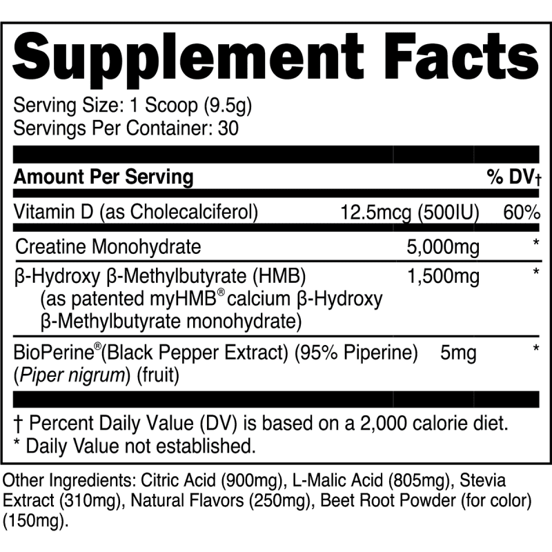 Creatine HMB Fruit Punch SFP 1200x1200 bdd37895 d8a9 4676 9022 22e4418fdda4